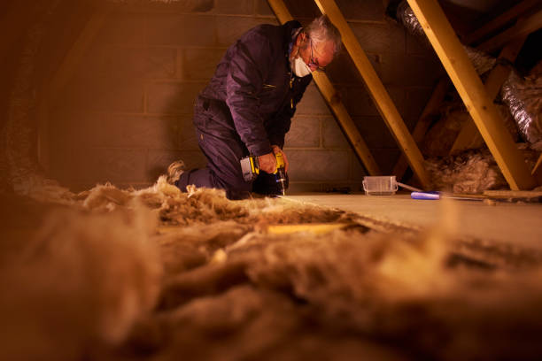 Best Insulation Maintenance and Repair in Delevan, NY